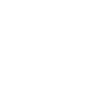 A0